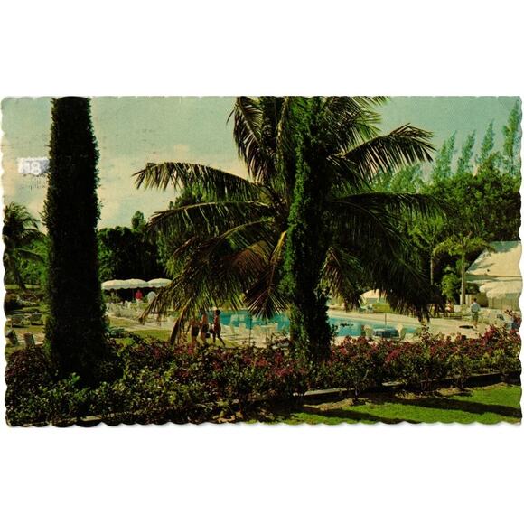 Nassau Bahamas Tropical Splendor Ocean Club Paradise Island Lazzy Witt Postcard - Picture 1 of 2